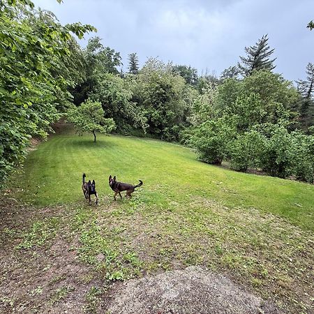 Rocchetta Tanaro Bnb Dog And Friend المظهر الخارجي الصورة