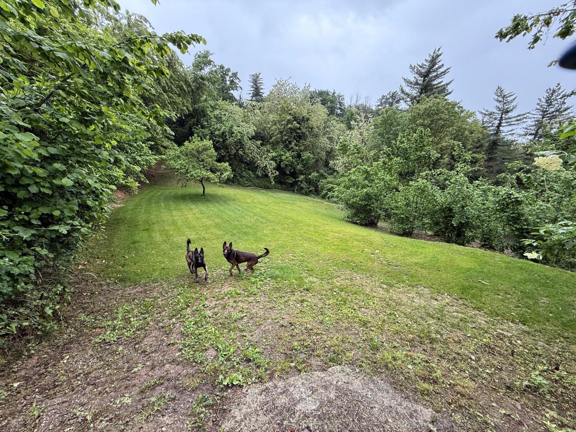 Rocchetta Tanaro Bnb Dog And Friend المظهر الخارجي الصورة